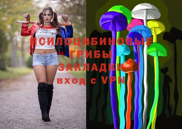 соль ск Лиски
