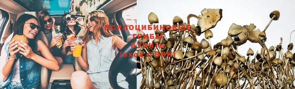 мдпв Абдулино