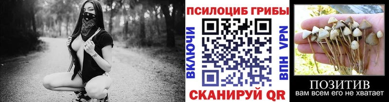 Псилоцибиновые грибы прущие грибы  Каменногорск 